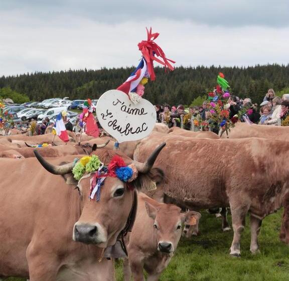 ベッドアンドブレックファースト La Reine Des Prés Chambres D Hôtes