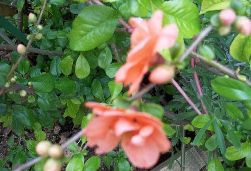 민박 La Renardière