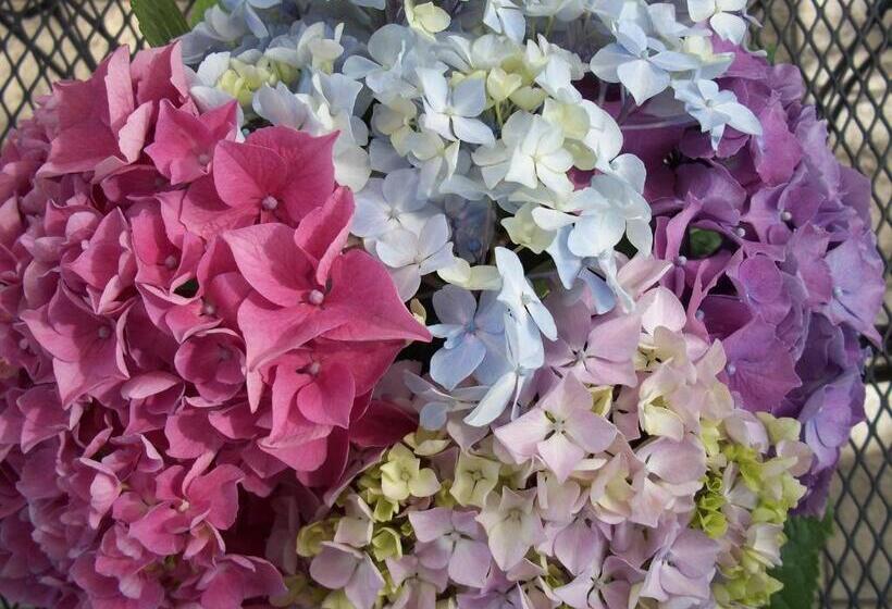 민박 La Renardière