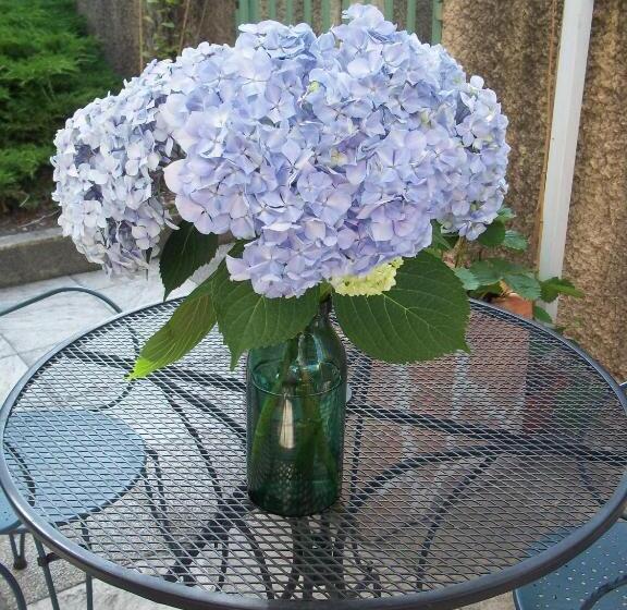 민박 La Renardière