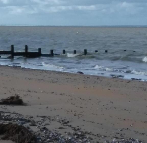 민박 La Salamandre