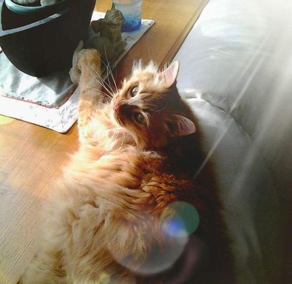 민박 La Taniere Douce