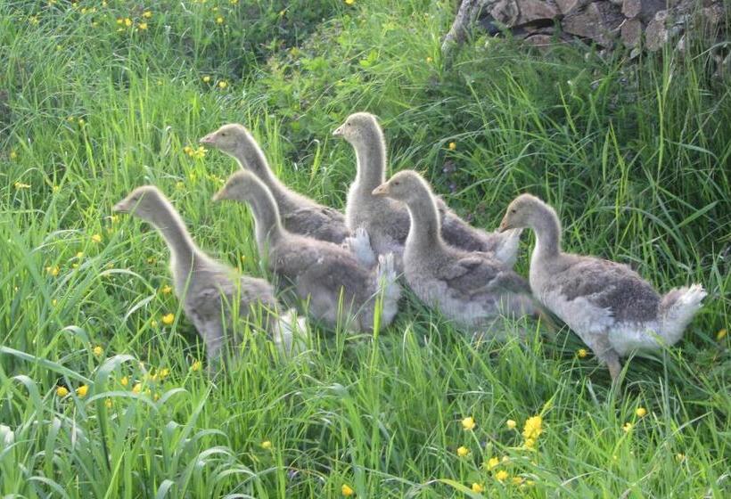 住宿加早餐  Le Bout Du Monde