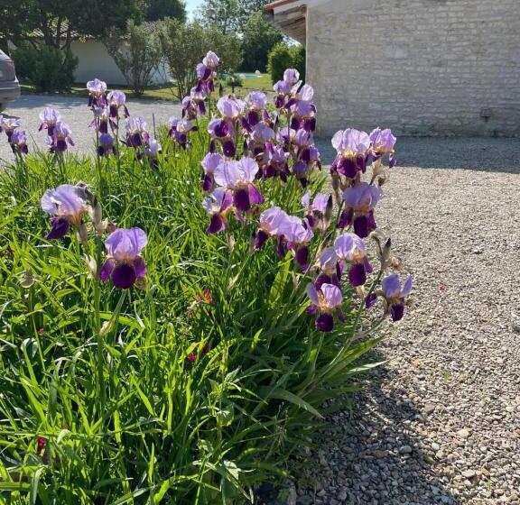 住宿加早餐  Le Clos Du Plantis