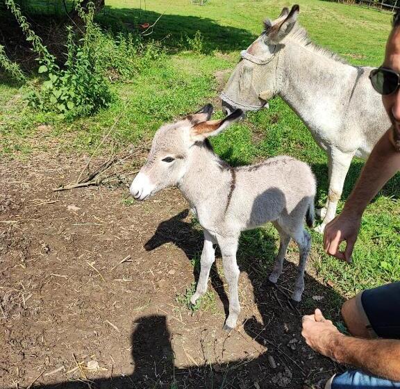 צימר Le Domaine Du Sens