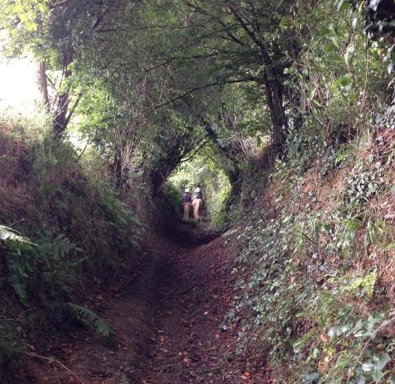 민박 Le Manoir Du Pont Senot