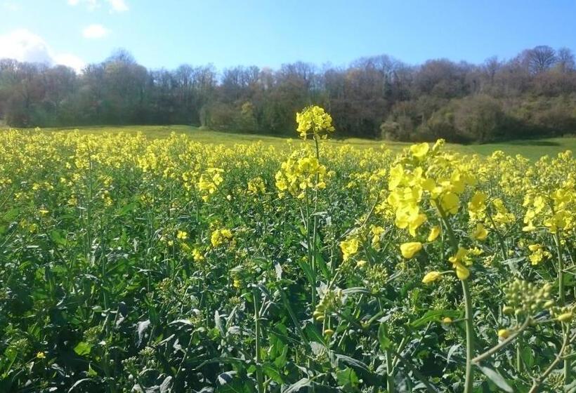 مبيت وإفطار Le Moulin De Laval