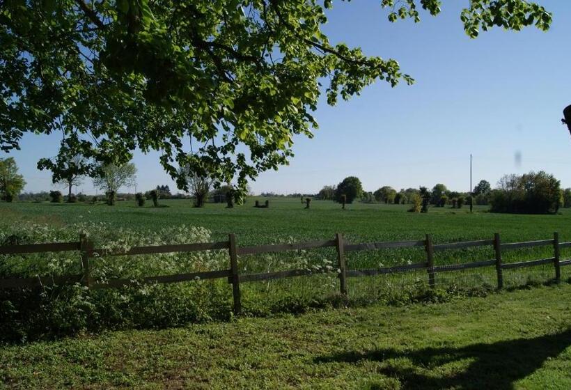 住宿加早餐  Les Cabanes De Gros Bois