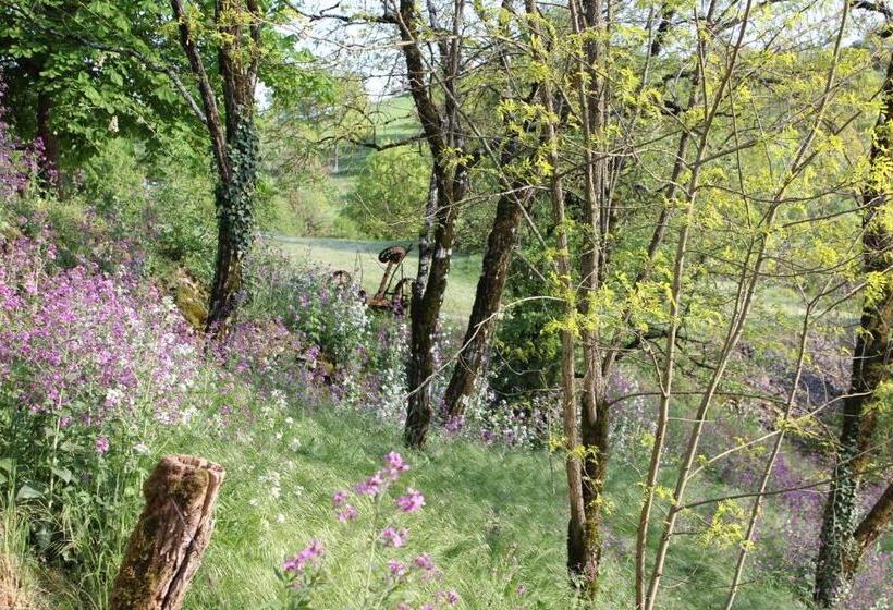 민박 Les Terrasses De Labade Chambres D Hôtes