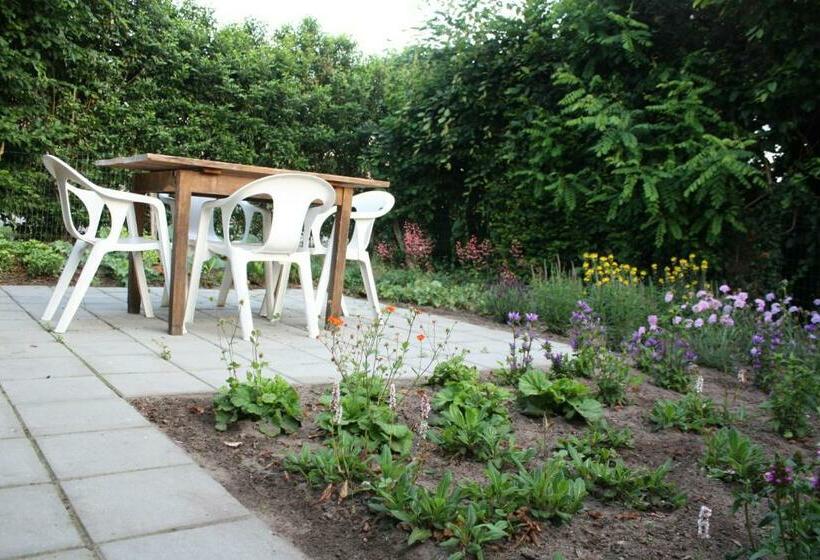 住宿加早餐  Logerenbijonsz