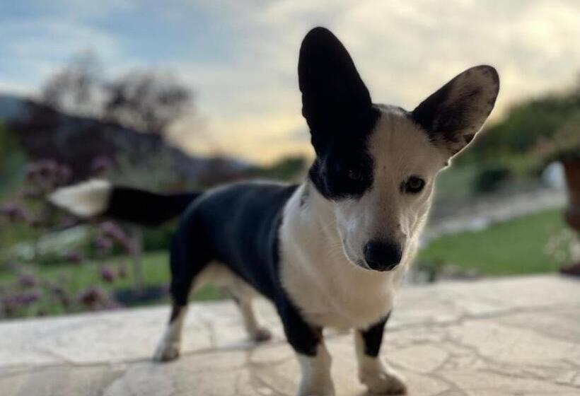 مبيت وإفطار Mas Tulipe De Soie