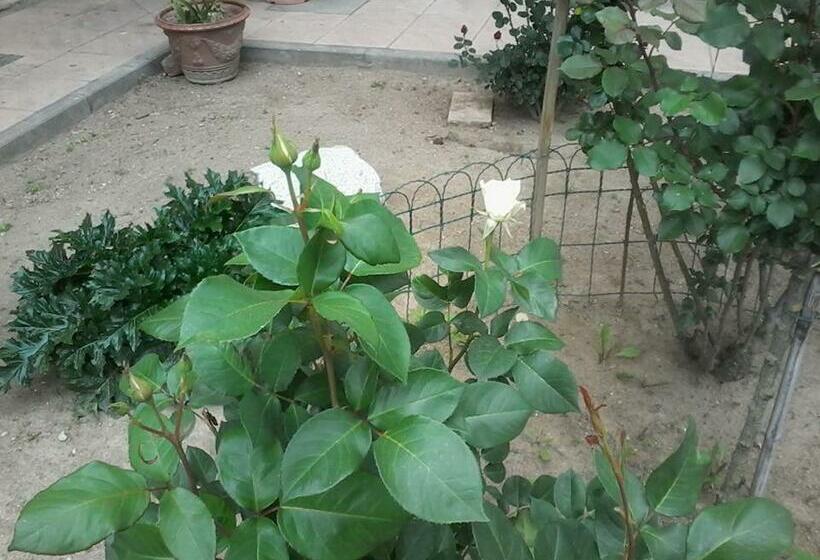 مبيت وإفطار Perbacco