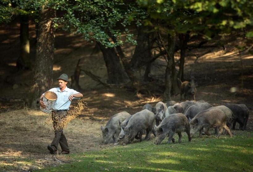 ベッドアンドブレックファースト Saciova Hills