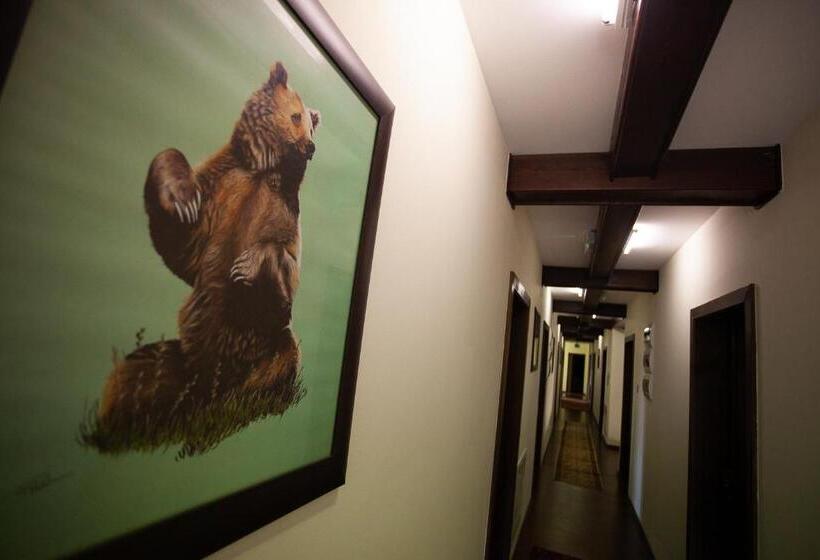 ベッドアンドブレックファースト Saciova Hills