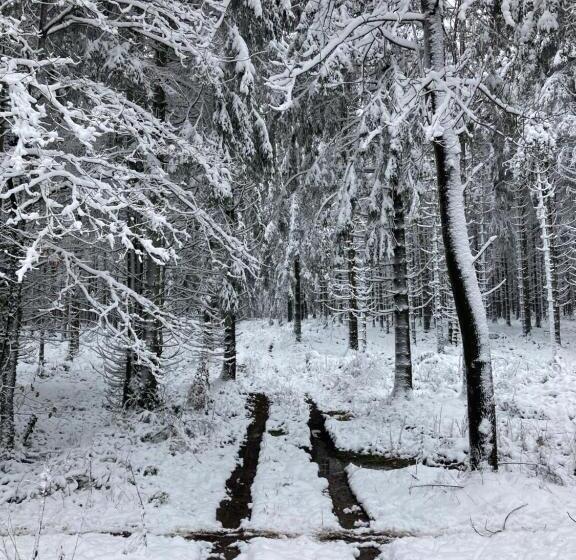 צימר Stal Escapade