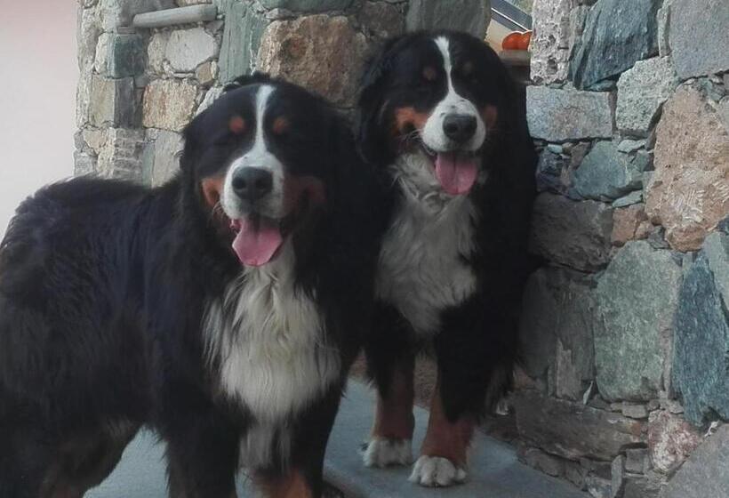 ベッドアンドブレックファースト Strada Antica