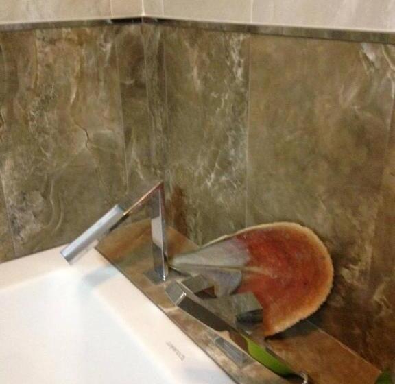 צימר Tonini House