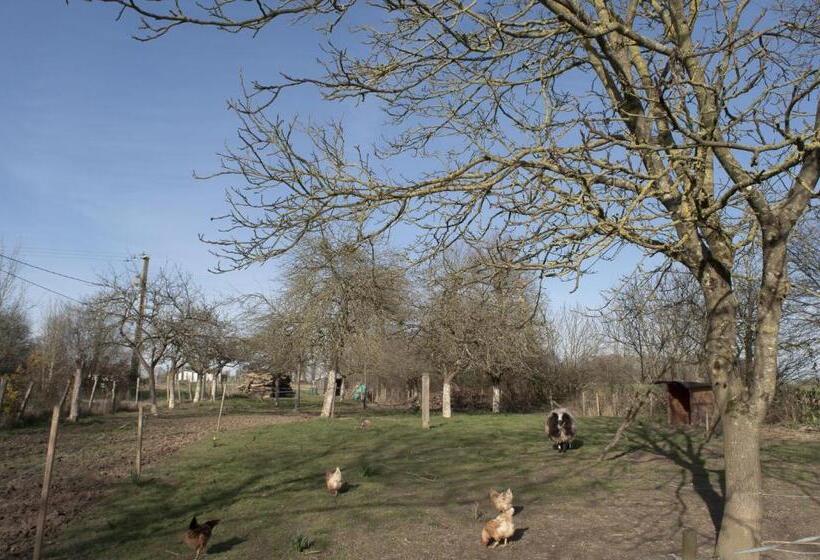 צימר Ty Daou Gwez