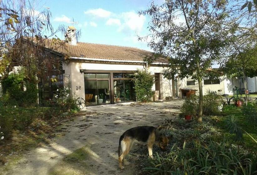 צימר Villa Gazounette