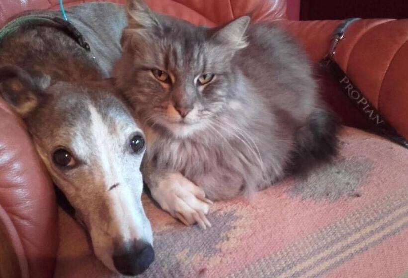 مبيت وإفطار Vosges Chambres D Hotes