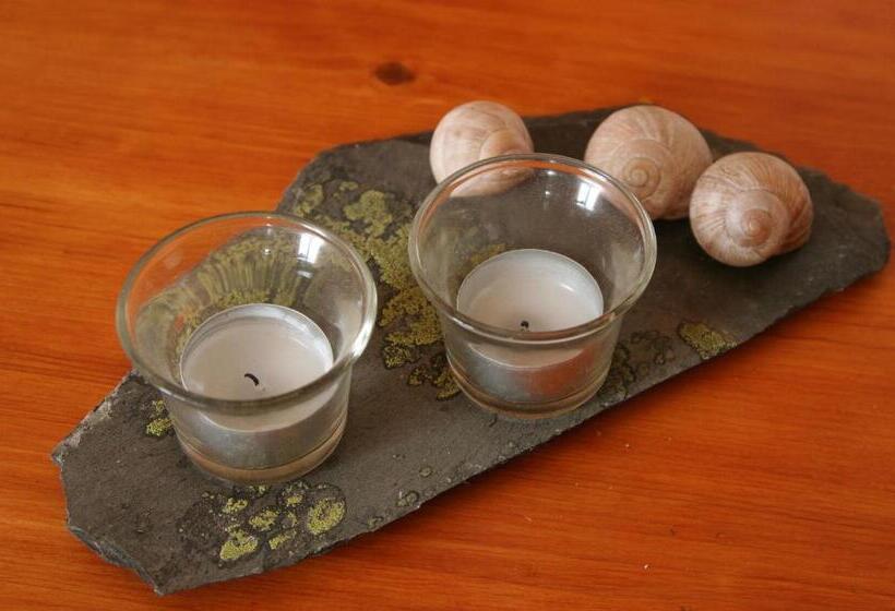 Bed & Breakfast Björkhyddan