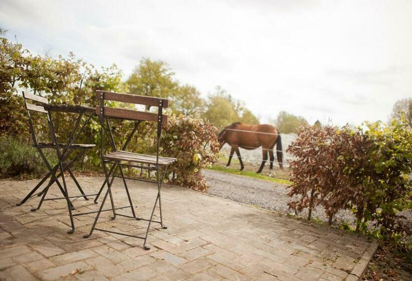Bed & Breakfast De Bimd Hoeve