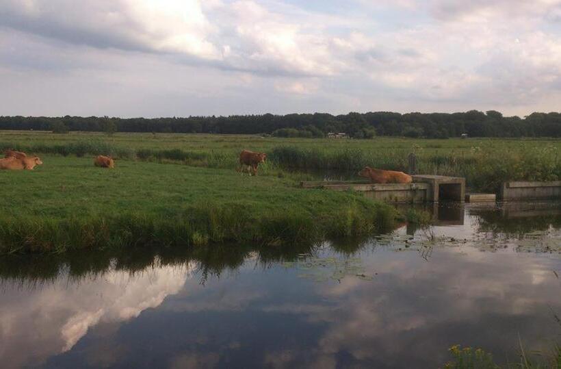 Bed & Breakfast Glimmen