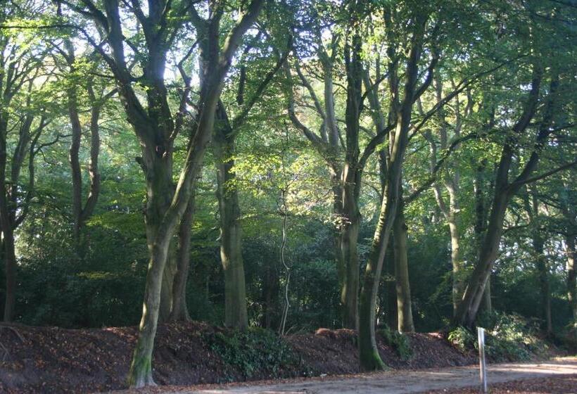 Bed & Breakfast Glimmen