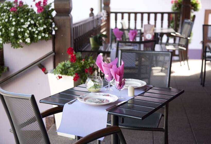 Отель A L étoile D Or