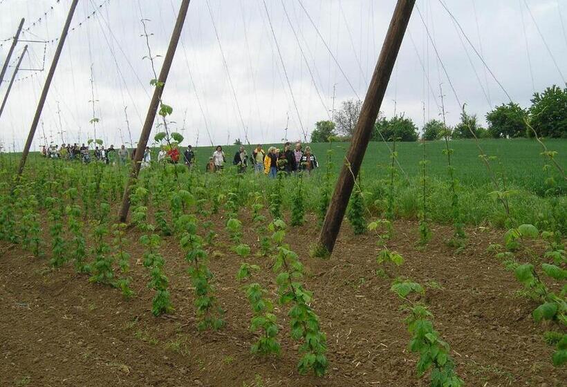 Отель A L étoile D Or