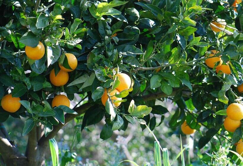 בית מלון כפרי Agriturismo  A Lanterna