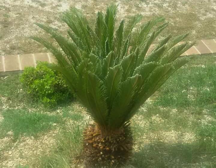 فندق Agriturismo Isola Verde