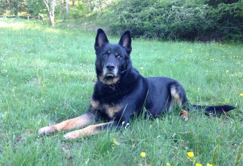 فندق Agriturismo La Casa Nel Bosco