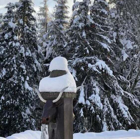 酒店 Auberge Du Cezallier