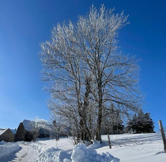 酒店 Auberge Du Cezallier