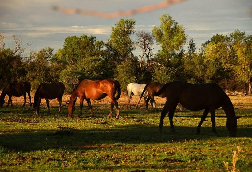 فندق Beaconsfield Farm