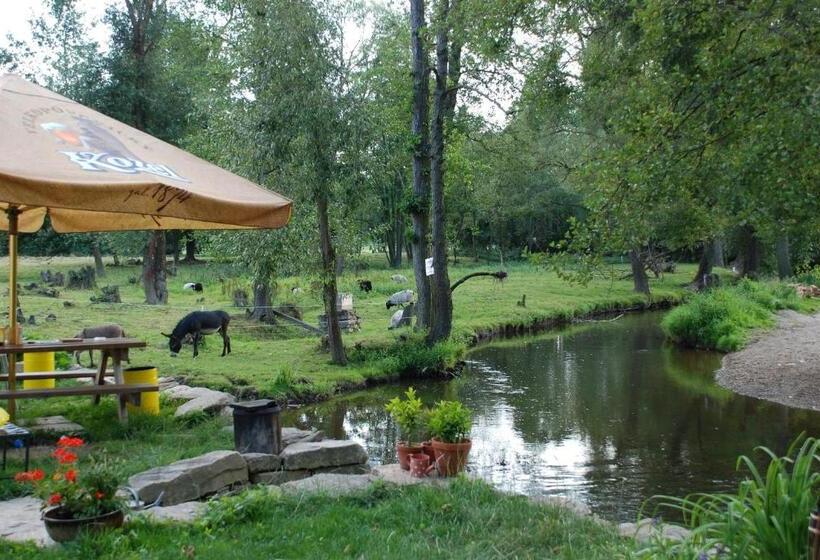 Отель Biofarma Dolejší Mlýn