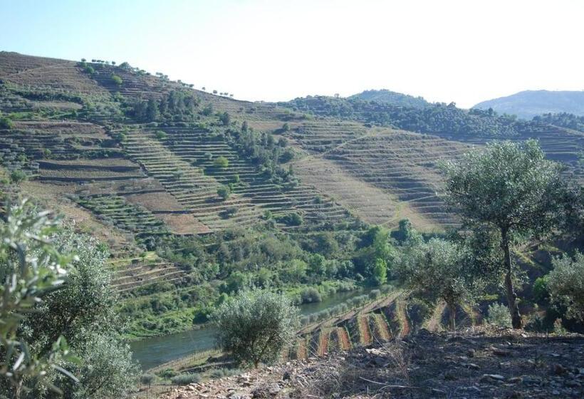 Отель Casa Oliveiras Do Douro