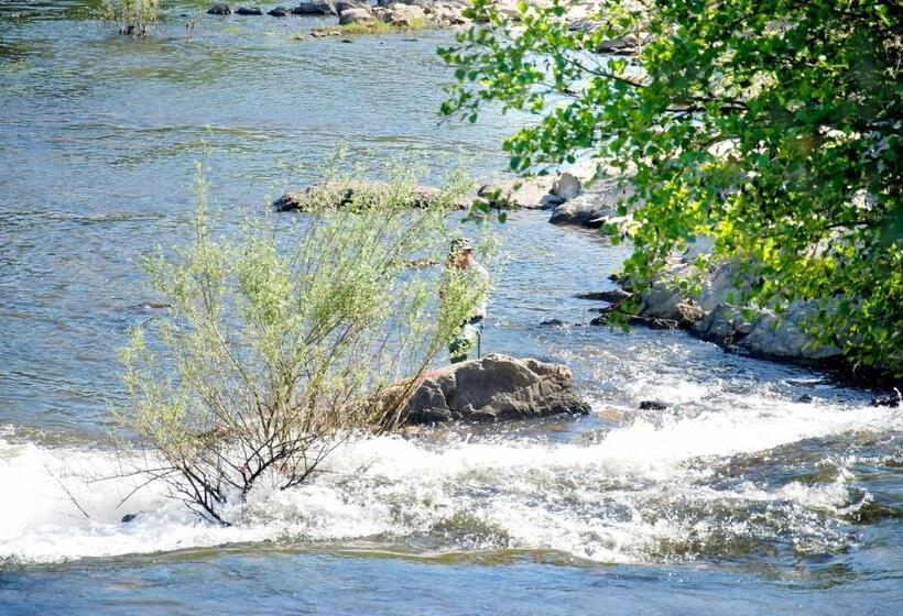 Отель Casa Oliveiras Do Douro