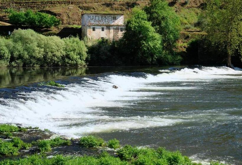 Отель Casa Oliveiras Do Douro