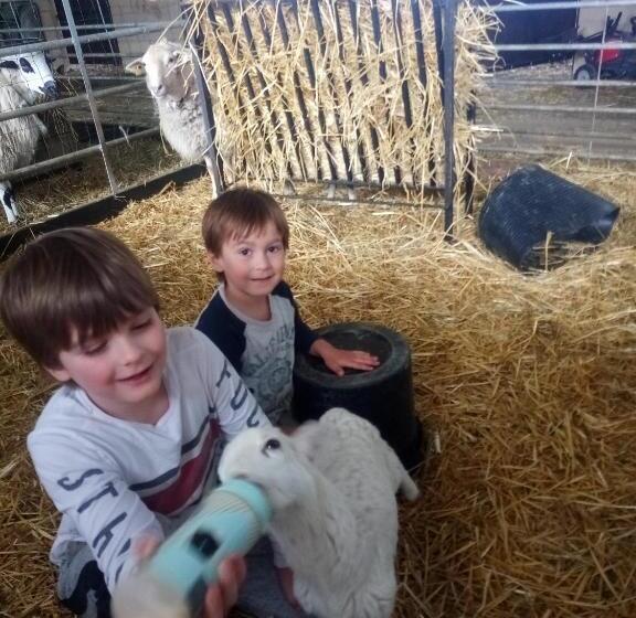 ホテル Casa Rural El Ribero I