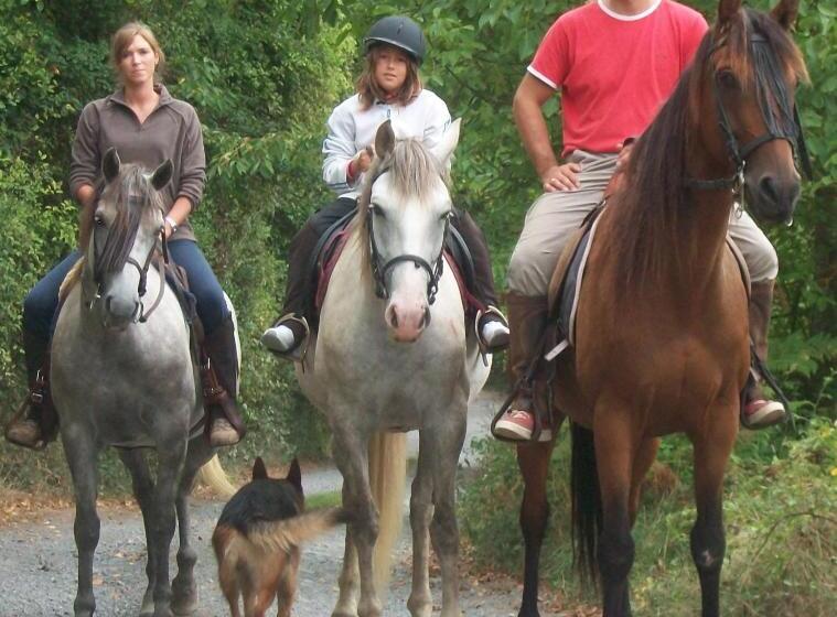 ホテル Casa Rural El Ribero I