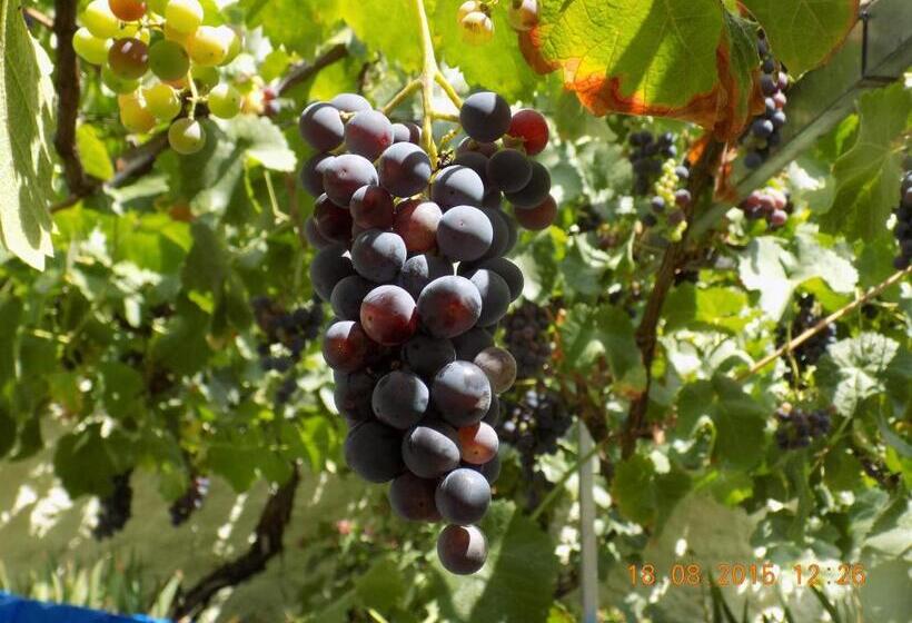 هتل Casarao Dos Reis