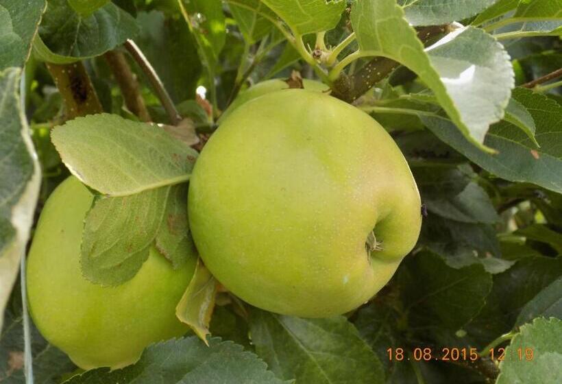 هتل Casarao Dos Reis