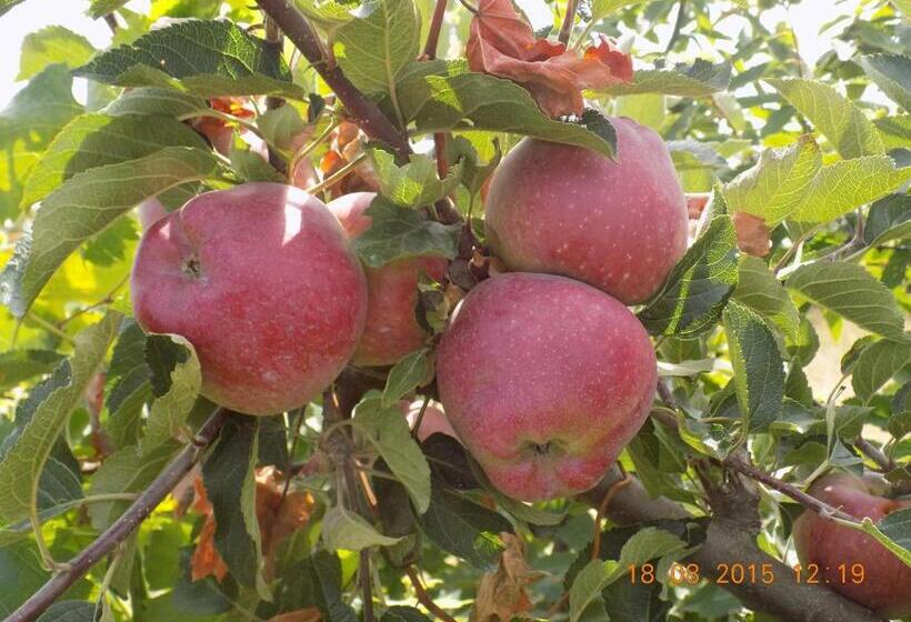 هتل Casarao Dos Reis