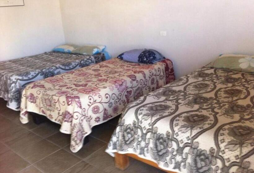 酒店 Catorce Capital A Una Hora De Real De Catorce