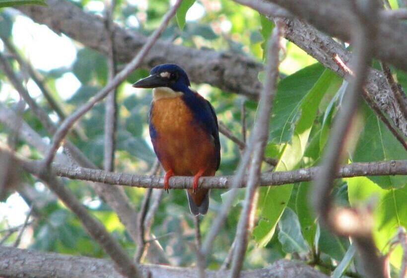 酒店 Corroboree Park Tavern