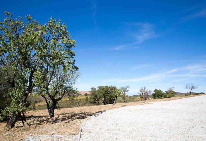 فندق Desafios Da Horta