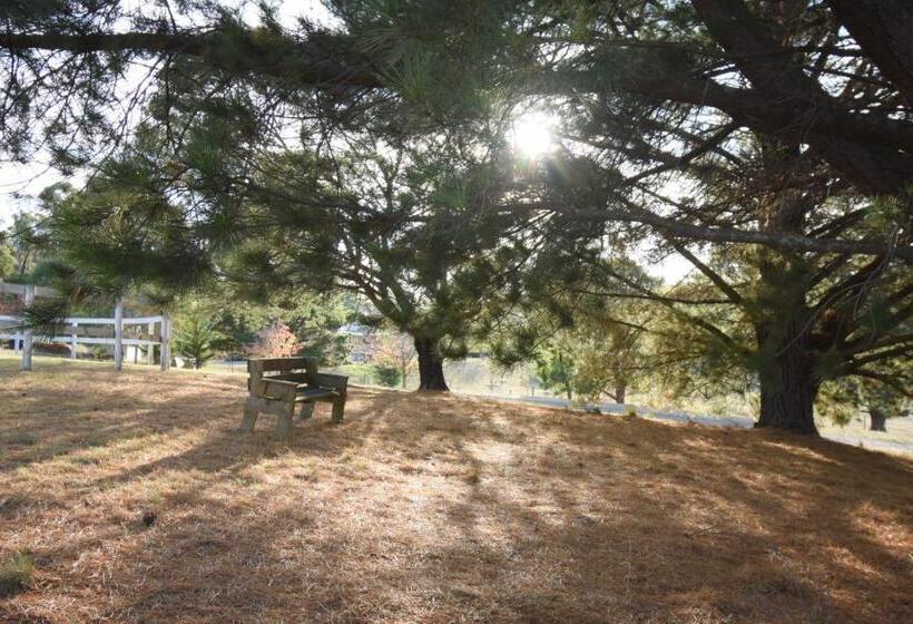 בית מלון כפרי Emu Lodge Country Retreat