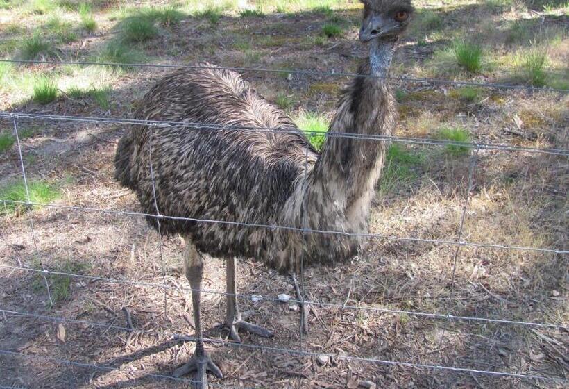 בית מלון כפרי Emu Lodge Country Retreat